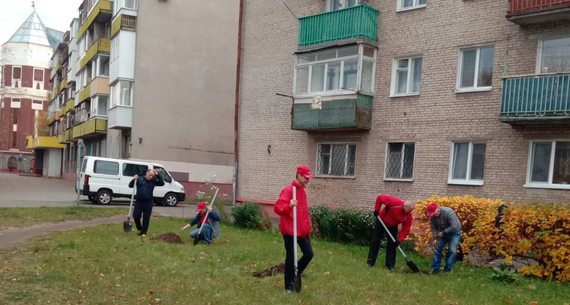 Городской субботник, посадка деревьев